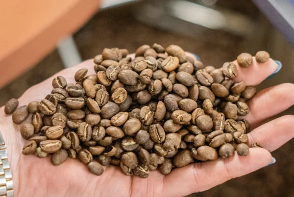 Light roast vs Dark roast coffee - Coffee Republic | Coffee Shop